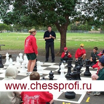Фигуры — типоразмер 25 — без доски