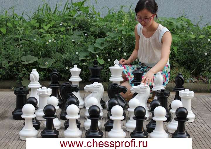 Фигуры — типоразмер 16 — без доски