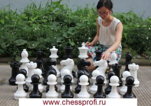 Гигантские шахматы 16``