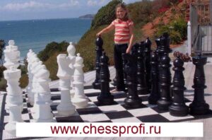 Фигуры — типоразмер 36 — без доски Фигуры — типоразмер 36 — без доски