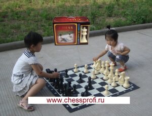 Гигантские шахматы 8``