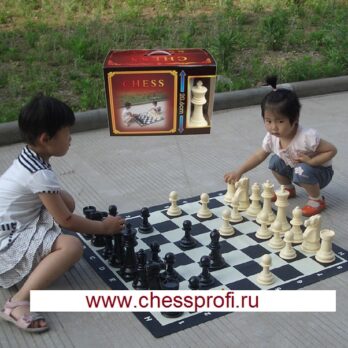 Гигантские шахматы 8``