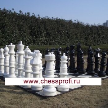 Гигантские шахматы - типоразмер 36