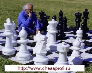 Гигантские шахматы - типоразмер 25