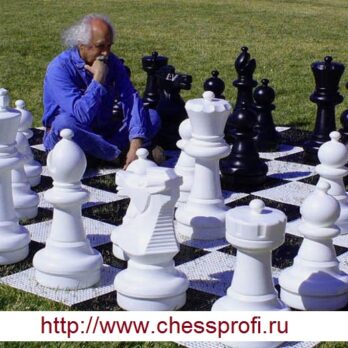 Гигантские шахматы - типоразмер 25